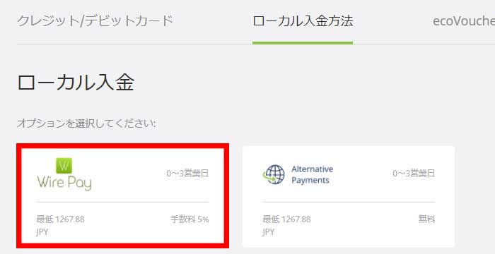 payz入金7